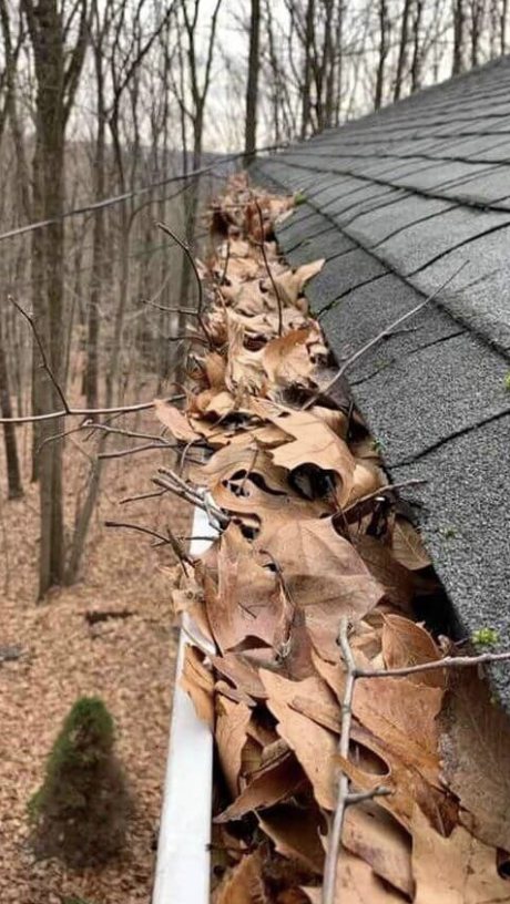 Gutter packed with oak leaves and twigs