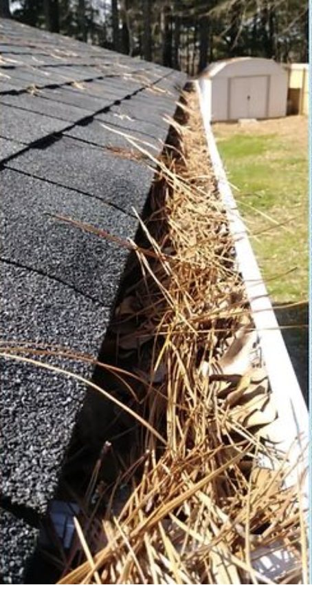 Gutter packed with pine needles