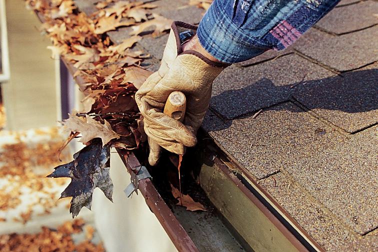 Gutter being hand-cleared of packed leaves